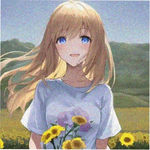观众拾光者的头像